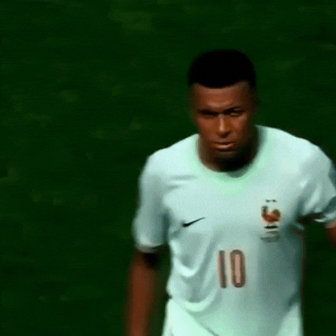 France GIF