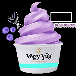 VEGYYUG GIF