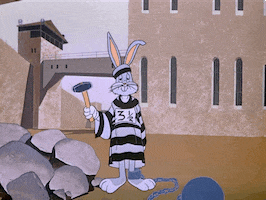 Cotket GIF