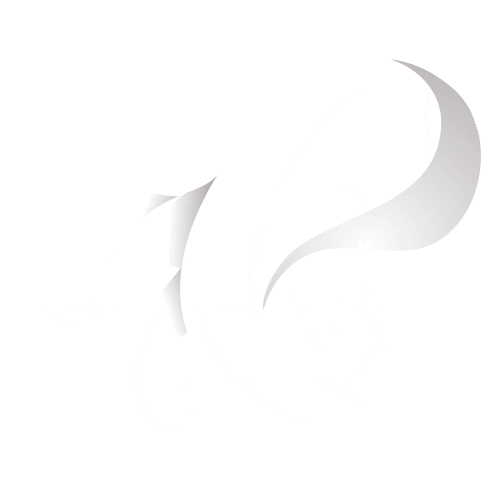 Sea Octopus Sticker by Senpai Academy