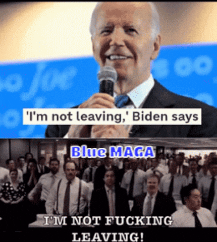Not Leaving Wolf Of Wall Street GIF