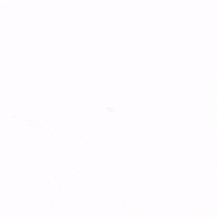 meindressing  GIF