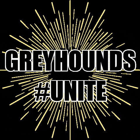 Unite Greyhounds GIF by University of Indianapolis