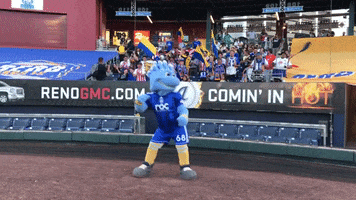 Reno 1868 FC GIF