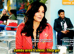 cougar town