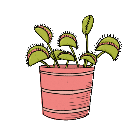 Venus Flytrap Plant Sticker by Katie Vaz for iOS & Android | GIPHY