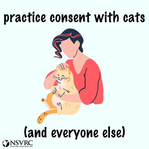 Cats Consent GIF by National Sexual Violence Resource Center