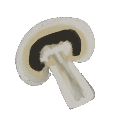 Mushroom Sticker by katxdesign