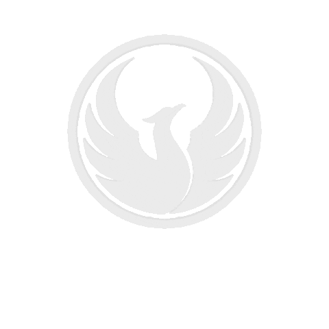 blackphoenixpositioning Sticker