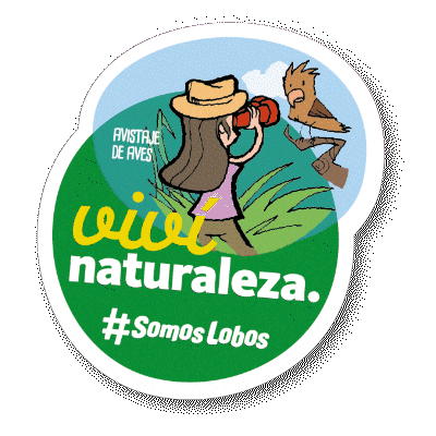 Municipio de Lobos Sticker