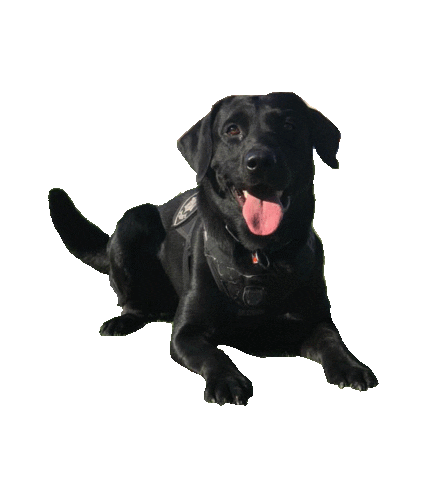 Law Enforcement Glock Sticker by CSUFPD