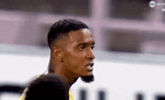 Arsenalmemeinsiders GIF by memes