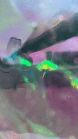 mollie_serena glitch trippy psychedelic light GIF