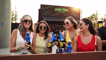 Bud Light Party GIF by Charleston Battery