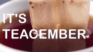 First Of The Month December GIF by Sealed With A GIF