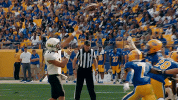 College Football Win GIF by Pitt Panthers