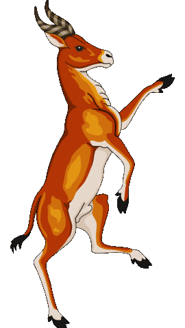 Animated Sticker