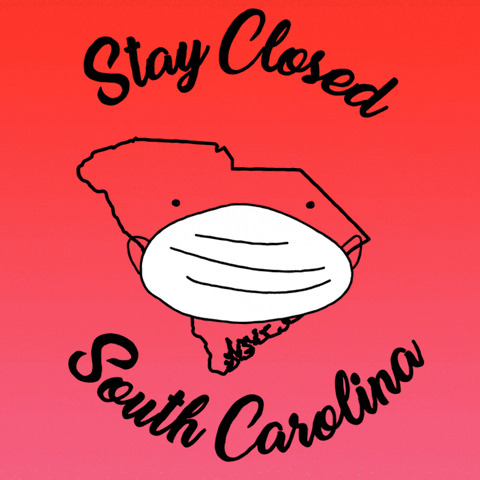 Stay Home South Carolina GIF by INTO ACT!ON