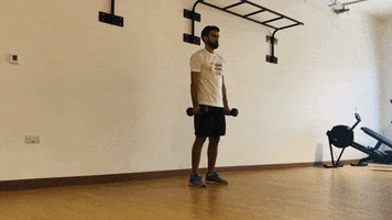 Weightlifting GIF