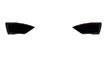 Carp Mapping Sticker by Carplounge