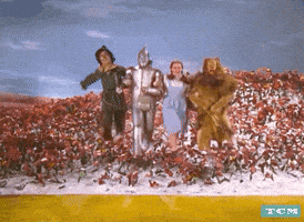 Wizard Of Oz Dorothy GIF by Turner Classic Movies