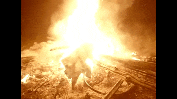 Fire Burning GIF by Cat Clyde