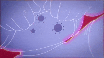 Freddie Mercury GIF