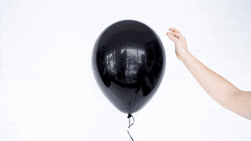 200.gif?cid=fc005b0829315a3231ebf36e17cce3307ee2f79d2b2c3188&rid=200.gif&ct=g