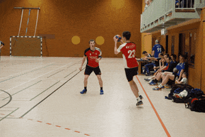 HSGLiGra GIF