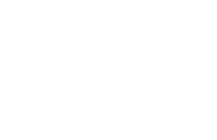 Wave Surf Sticker by ATRPDS