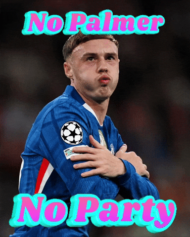 No Party GIF
