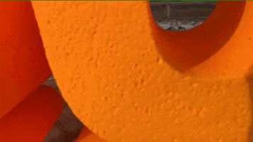 buurkracht GIF
