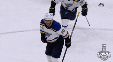 happy 2019 stanley cup finals GIF by NHL