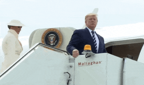 Donald Trump Uk GIF