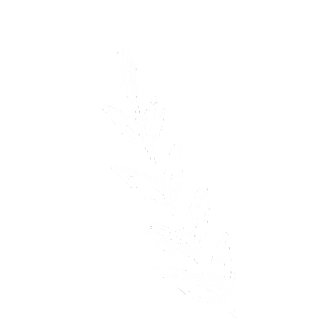 Branch Sticker