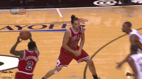 joakim noah