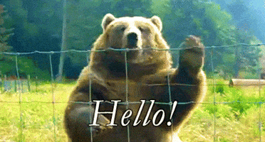 200.gif?cid=f0bdee70028l2micmol6krwbr4etxujmv6ler6ue08kve1xg&rid=200.gif&ct=g