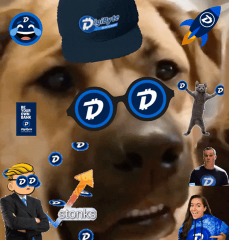 Dog Lol GIF by DigiByte Memes