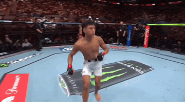 Ufc Indonesia GIF