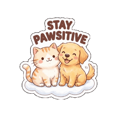 Animated Sticker