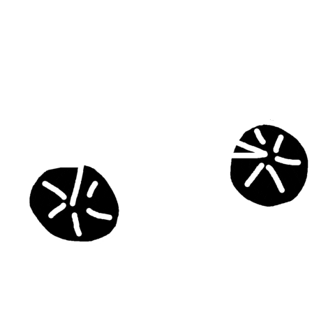 Bike Ride Sticker