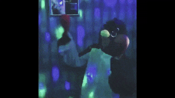 rock penguin GIF by Pure Noise Records