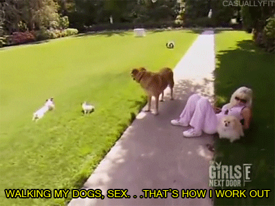 Dog sex GIFs - Get the best GIF on GIPHY