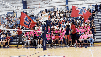 Stu GIF by STUMiami