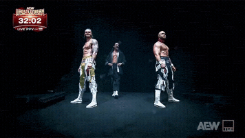 Professional Wrestling Wwe GIF