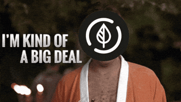 Rwa Hedera GIF by DOVU