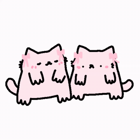Spainnubcat GIF