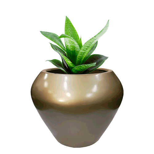 FiberPotxMacetas Sticker