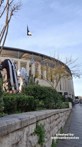 Beşiktaş GIF