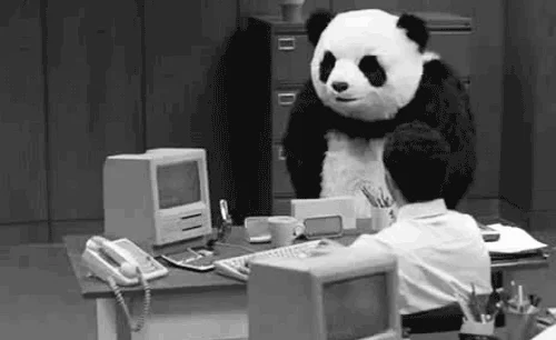 panda table flip GIF